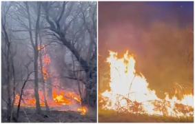 Incendiu puternic de vegetație, la marginea autostrăzii A1. Vizibilitate redusă din cauza fumului gros