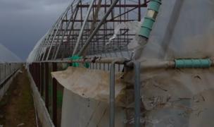 ''Zici că era sfârşitul lumii.'' O vijelie puternică a distrus zeci de solarii în Dâmboviţa. Localnicii sunt disperaţi