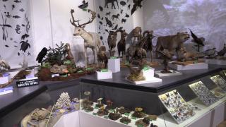 Intrare cu bilet unic, valabil 30 de zile, pentru mai multe muzee din Prahova:  "Poporul ăsta are nevoie de cultură"