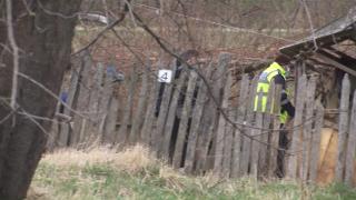 O copilă de 13 ani ar fi ucis pentru bani o mamă și pe fiica ei, în Botoșani. Fata le ajuta la treburile din gospodărie