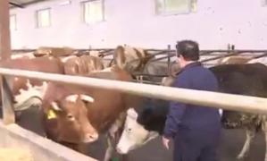 Lapte bio gratuit pentru elevi. 56 de unităţi şcolare din Brașov beneficiază de produsele naturale