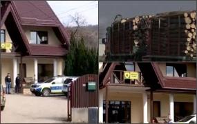 Mafia lemnului a ajuns și la Ocolul Silvic: Patru ingineri, cercetați pentru fals informatic