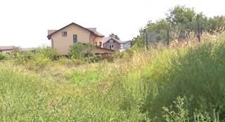 Amenzi de până la 20.000 de lei pentru românii care nu taie această plantă de pe terenul lor