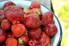 Un kilogram de căpşuni a ajuns să coste mai mult decât un kilogram de carne