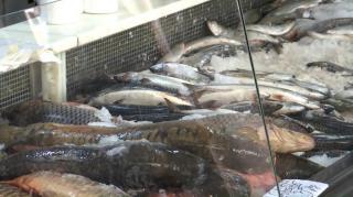 Peştele, cu 50% mai scump decât anul trecut. Chiar şi aşa, românii au ţinut să respecte tradiţia de Florii şi nu s-au uitat la preţ