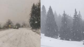 Vremea s-a schimbat radical de la o zi la alta. În nordul țării a nins și a căzut grindina: "Aoleu, potopul! Vine iarna, nu-i ca vara"