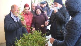 Creştinii ortodocşi au sărbătorit astăzi Floriile. Ce simbolizează ramurile de salcie puse la icoană