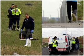 Filmul atacului de lângă Lacul Morii: 20 de câini au rănit grav o tânără care ieşise la alergat