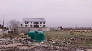 Cartierul rezidențial din Craiova supranumit Căpșunăria. Cum arată viețile oamenilor care trăiesc practic în câmp