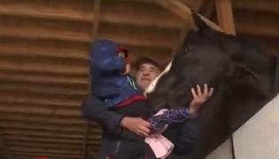 Distracţie pentru cei mici la un centru de echitaţie din Suceava: s-au jucat cu iepuraşii şi caii şi au participat la o vânătoare de ouă de ciocolată