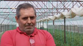 Un fermier român a dat anunţ că angajează culegători pentru salarii de 3.000 de lei pe lună. Ce răspunsuri a primit