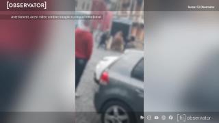 Cal abuzat de mai mulţi oameni, imediat după încheierea festivalului Junii Braşovului