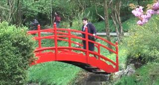 Grădina Botanică din Cluj-Napoca, intrare liberă pentru cei cu vârsta sub 35 de ani, de Ziua Tinerilor