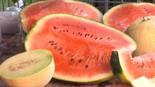 După banane, portocale sau mandarine, acum a venit şi rândul pepenilor. Un întreg lot din Turcia, retras de pe piaţă