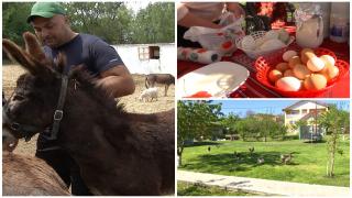 "10 litri de lapte, 60 de ouă şi doi pui". Produsele BIO cumpărate direct de la poartă, la mare căutare. Comercianţii nu mai fac faţă cererilor