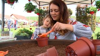 Târg inedit de flori într-o localitate din Tg. Mureş. Expoziţia a putut fi văzută şi din balonul cu aer cald