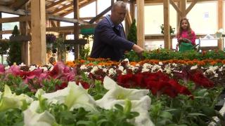 Afacerea care l-a făcut bogat pe un român după ce s-a întors din Germania: "Aici este acasă, am revenit acasă"