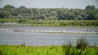 Amenda pentru camparea ilegală din Delta Dunării va fi majorată pentru a-i descuraja pe cei care lasă tone de gunoi în urma lor