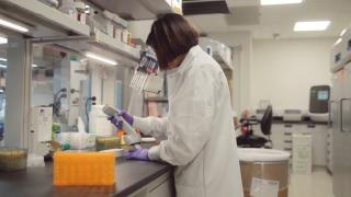 Tratament revoluționar pentru bolnavii de diabet zaharat de tip 2. Când ar putea ajunge în România