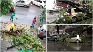 Cine repară maşinile distruse de furtună. Primăria nu are poliţă de asigurare pentru plata daunelor cauzate de arborii căzuţi pe maşini