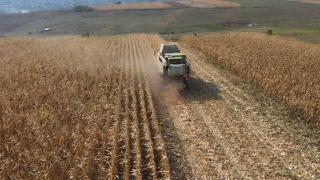 Ministerul Agriculturii vrea să centralizeze stocurile de alimente de bază. Cei care nu declară pot fi amendaţi