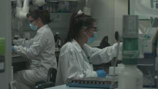 Cum se transmite variola maimuţei. Marii purtători ai virusului. OMS: "Nu e un focar tipic"