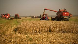 "E anormal să estimez câte tomate am pe vrej". Fermierii şi producătorii, revoltaţi că trebuie să declare stocurile de produse la Guvern