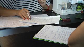 Un elev din trei face meditaţii la cel puţin o materie. Un profesor de matematică poate încasa mai bine de 10.000 de lei pe lună