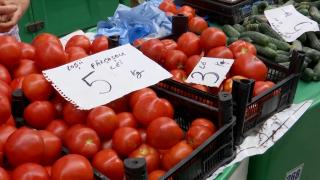 "Nu ne-am aşteptat la o asemenea scădere". Producătorii de roşii, presaţi să vândă ieftin şi repede, ca să prindă subvenţiile din Programul Tomata