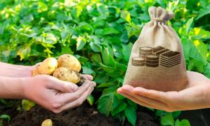 Rata anuală a inflaţiei a urcat la 14,5%. Cartofii înregistrează cea mai mare scumpire în rândul alimentelor