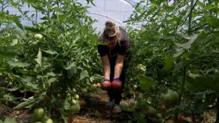 Afacerea pusă la cale de un român și soția lui. S-au inspirat din Anglia, iar acum atrag fonduri europene uriașe