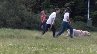 Cum extragem corect căpușele din piele? Intervenția unui specialist, cea mai indicată soluție