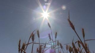 Dezastru în agricultură, după unul dintre cei mai buni ani din istorie. Efectele se vor resimți în prețurile de la raft