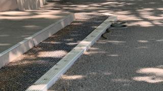 Panică la Galaţi: Localnicii au dat peste un şarpe de doi metri care se afla chiar în apropierea spitalului