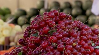 "Aurul" din livadă. Nemţii, austriecii şi ungurii se bat pe vişinile româneşti: cât costă un kilogram luat direct din curtea producătorului