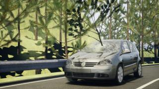 ANIMAȚIE GRAFICĂ: Cum s-a produs accidentul cumplit din Bihor, unde o șoferiță a fost străpunsă de crengile unui copac prăbușit