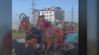 Cu căruțele pe contrasens pe centura oraşului Oradea. O "plimbare" de 870 de lei pentru fiecare căruțaș