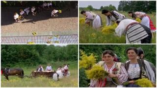 Tradiţii şi obiceiuri de Sânziene 2022. Cum află tinerele nemăritate din Gorj când se vor căsători