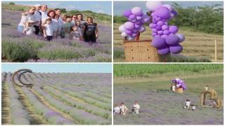 "Nici în Toscana şi nici în Provence nu au aşa ceva". Locul din România în care poţi lua cina în lanul de lavandă. Cât costă un bilet