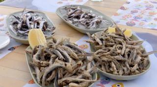 Cum sunt păcăliţi turiştii pe litoral. Ce este şprotul, servit clienţilor pe post de hamsii