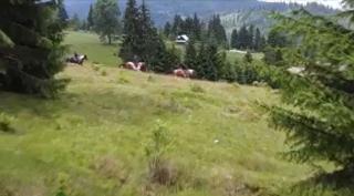 Aventură pe cărări de munte în Ţara Dornelor. Turiştii pot opta pentru călărit sau plimbare cu trăsura