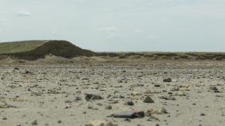 Lacul Amara a secat complet. Peisaj sumbru pe 8 kilometri pătraţi: "A fost un paradis al păsărilor sedentare sau călătoare"