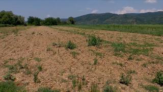 Secetă extremă în Maramureș. În unele localități autoritățile au stabilit reguli pentru folosirea apei