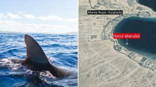 O turistă româncă de 40 de ani a fost sfâșiată de un rechin, în Egipt. În zona respectivă sunt specimene de 6 metri