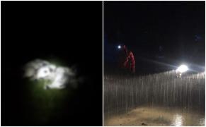 Un cioban din Gorj a murit în munţi, după ce a fost lovit de fulger. Alături au fost găsite moarte peste 100 de oi