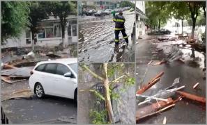 "Ia uite, bă, rupsă copacul! Vijelie, vijelie!" Râmnicu Vâlcea, paralizat după un cod roşu: zeci de copaci smulşi şi maşini distruse