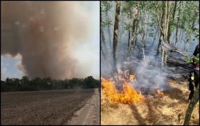 Incendiu de vegetaţie în Vrancea. Focul a cuprins peste 40 de hectare de pădure şi 50 de hectare de vegetaţie uscată