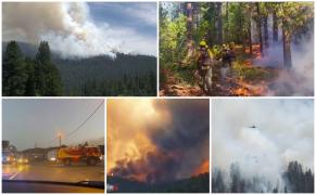 Incendiile fac dezastru în lume. 1000 de hectare, mistuite de flăcări în Franţa. Misiune contracronometru şi pentru pompierii din SUA