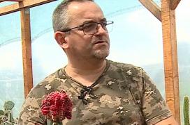 "Colecţionarul de ţepi". Un mureșean și-a dedicat 20 de ani din viață pentru a strânge 4.000 de cactuși din 1.800 de specii diferite