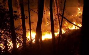 Portugalia, măcinată de incendii de vegetaţii: Seceta a afectat aproximativ 28% din teritoriul țării